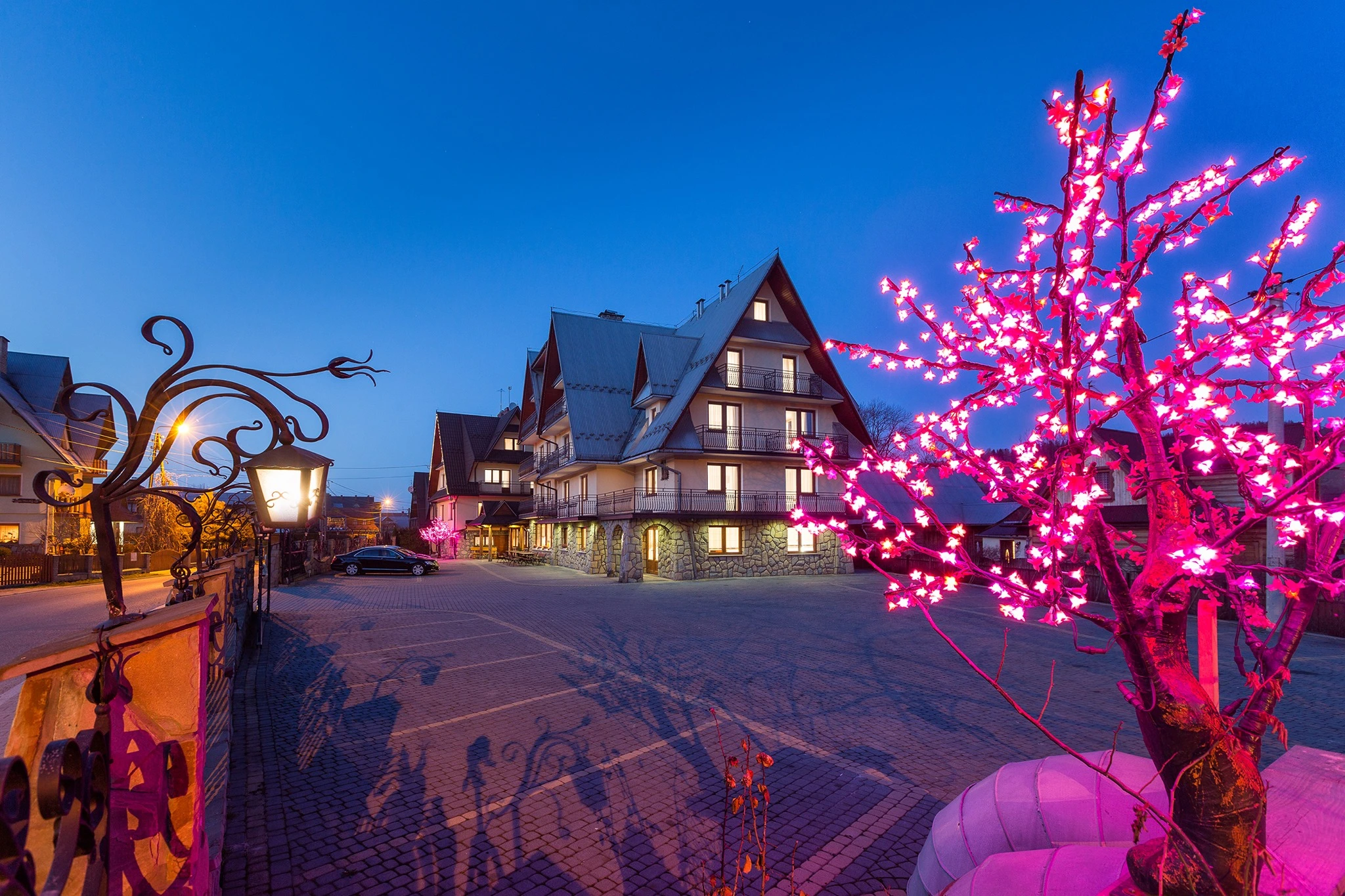 Kolonia Biały Dunajec 2026 - obrazek 9