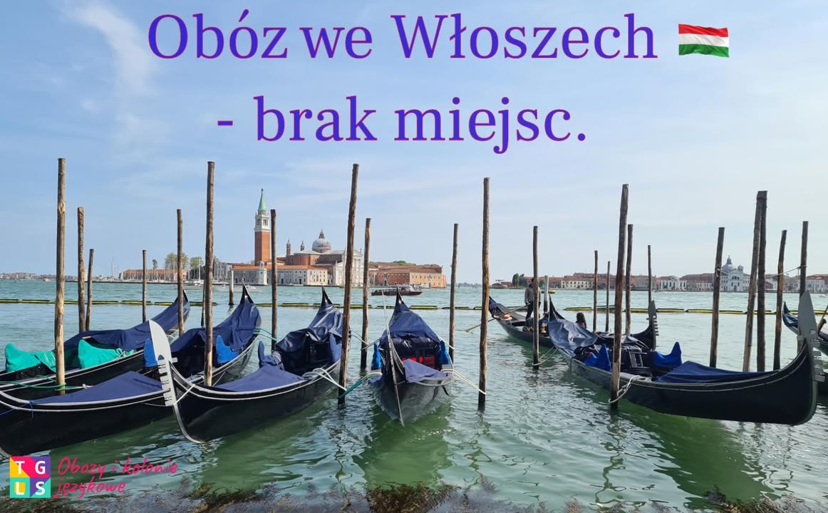Obozy i Kolonie językowe TGLS