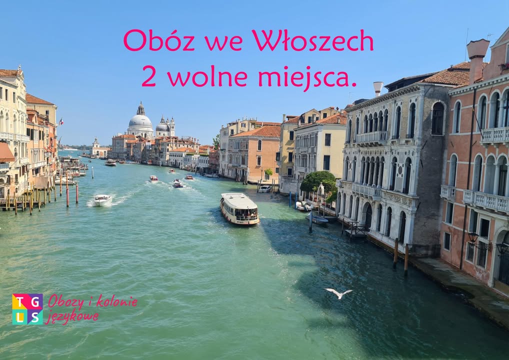 Obozy i Kolonie językowe TGLS