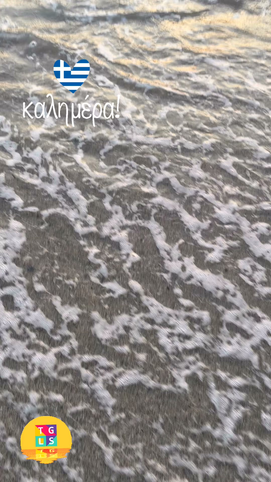 Obozy i Kolonie językowe TGLS